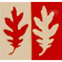 avatar logo
