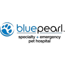 avatar logo