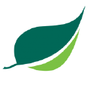 avatar logo