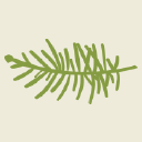 avatar logo