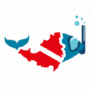 avatar logo