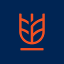 avatar logo