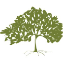avatar logo