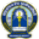 avatar logo
