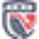 avatar logo