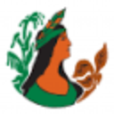 avatar logo