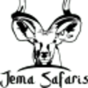 avatar logo