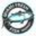 avatar logo
