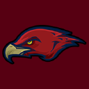 avatar logo