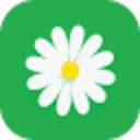 avatar logo
