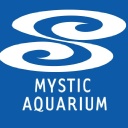 avatar logo