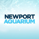 avatar logo