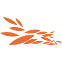 avatar logo