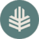 avatar logo
