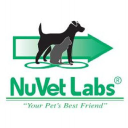 avatar logo
