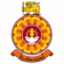 avatar logo