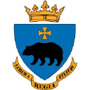 avatar logo