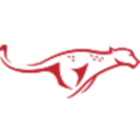 avatar logo