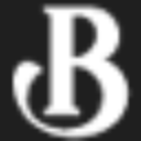 avatar logo