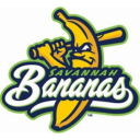 avatar logo