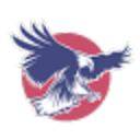 avatar logo