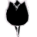 avatar logo